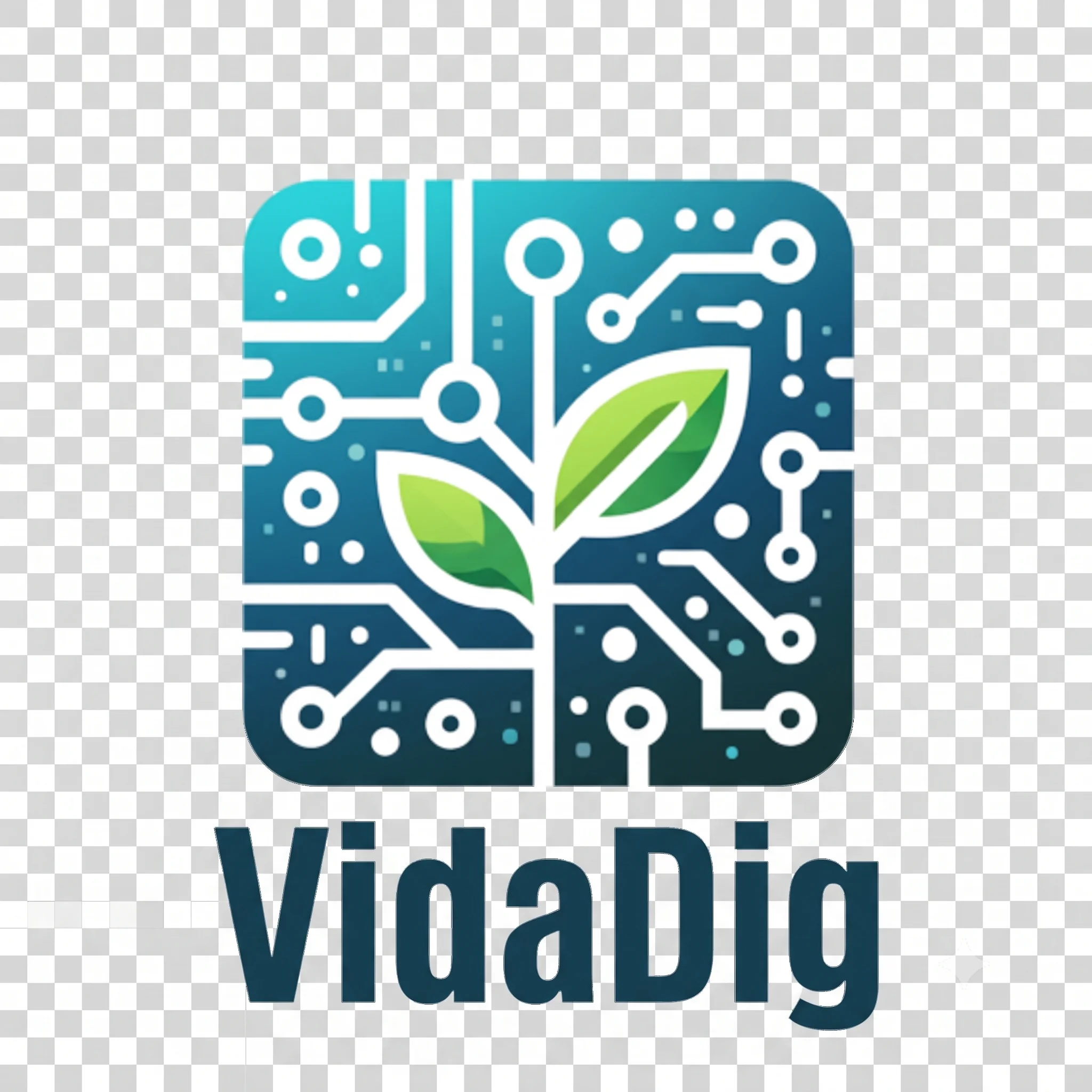 VidaDig
